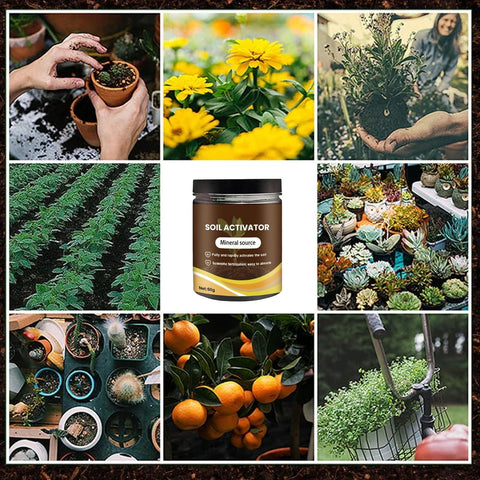 KKINYAS indoor-outdoor-usage suitable for indoor pots and outdoor beds.