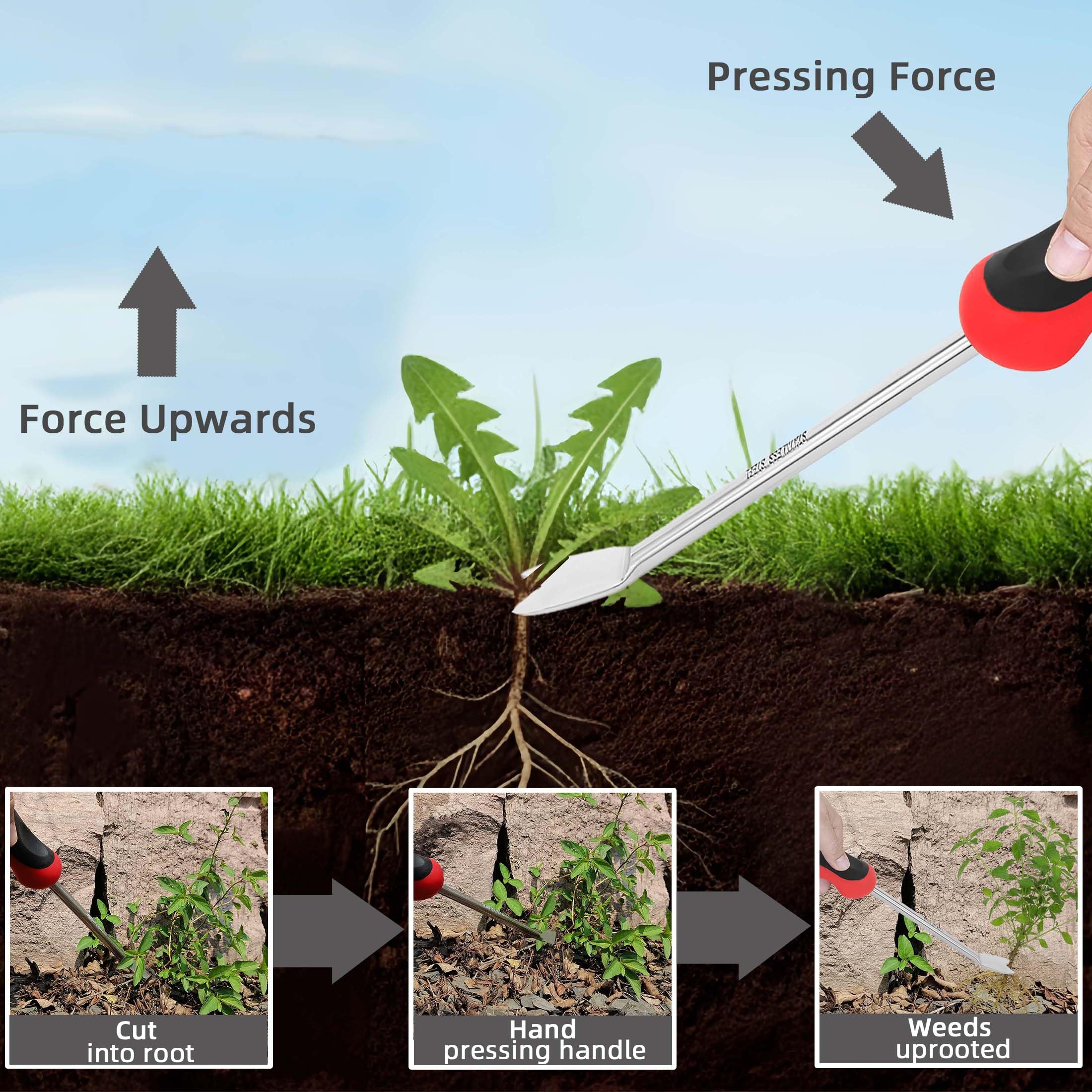 KLDOLLAR lawn and garden weed remover ideal for moss and stubborn weeds