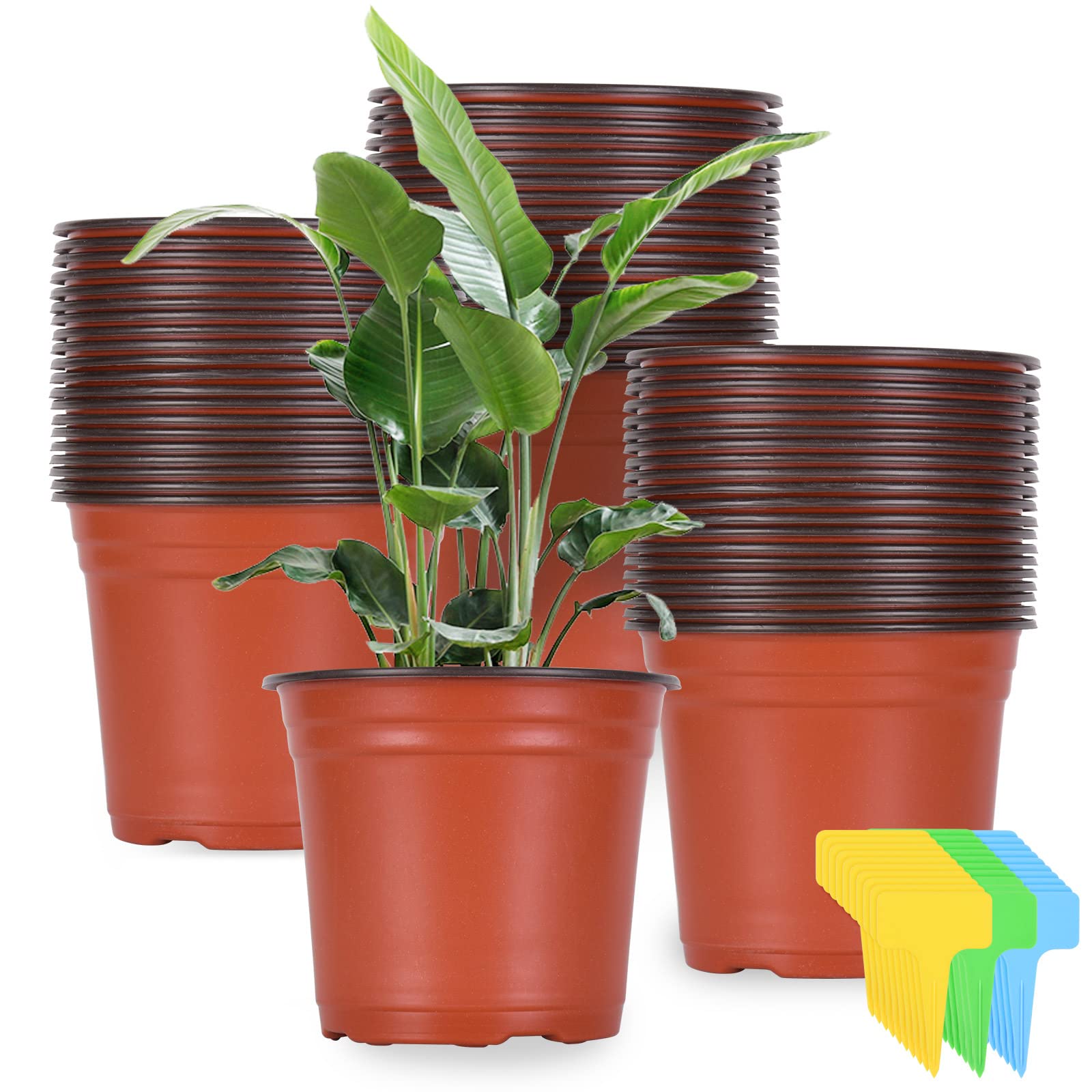Kleeblatt 6 inch nursery pot close up showing sturdy plastic for seed starting indoors.