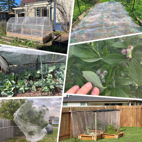 KLEWEE easy-install netting secures quickly with stones or stakes.
