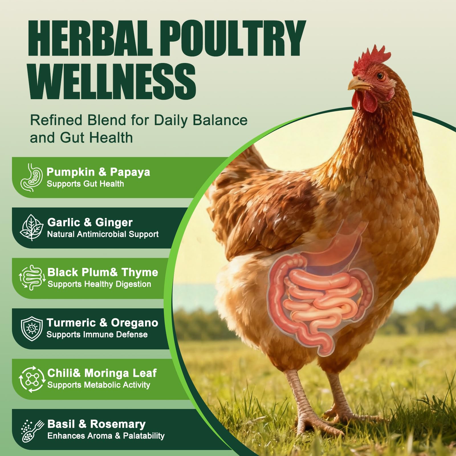 KLUORAN chickens-eating-feed palatable blend encourages normal appetite.