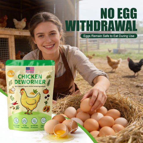 KLUORAN egg-safe-poultry-supplement gentle daily use for laying hens.
