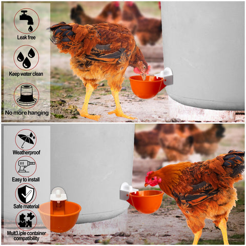 KLYWUN poultry waterer with leak-free design minimizes waste and mess.