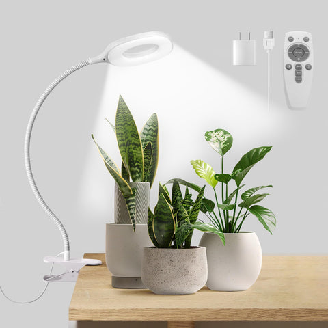 KNHUOS grow light with full-spectrum illumination for thriving indoor succulents