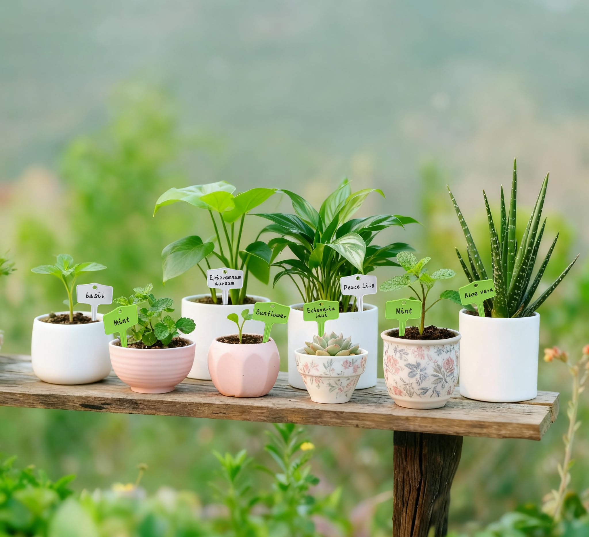 KNLLFolan pot plant labels for easy organization in pots and planters.