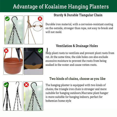 Koalaime 10-inch durable plastic hanging basket for versatile placement
