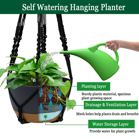 Koalaime hanging planter with detachable saucer for easy cleanup and less mess