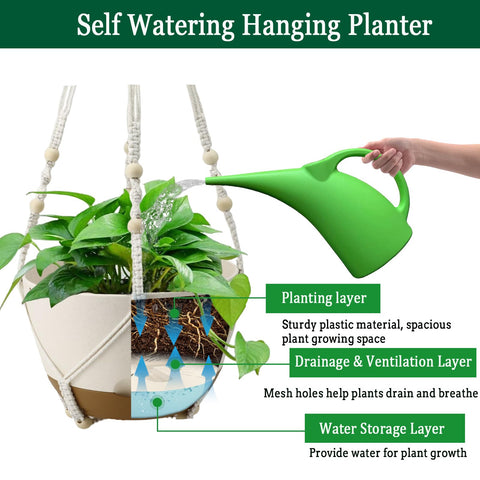 Koalaime ventilation and drainage holes promote healthy root growth