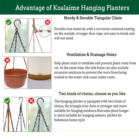 Koalaime metal hook and bohemian hanger offer versatile mounting options for any space.