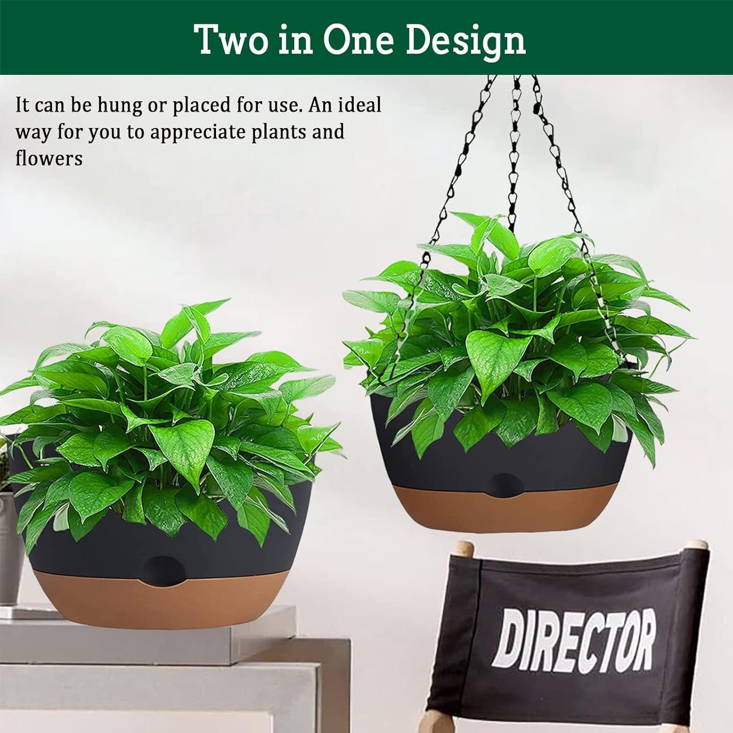 Koalaime 10-inch plant basket ideal for ivy, herbs, and flowers
