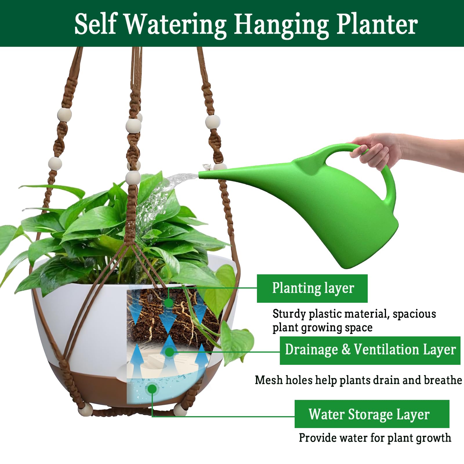 Koalaime planters prioritize ventilation and drainage holes to support thriving plant growth.