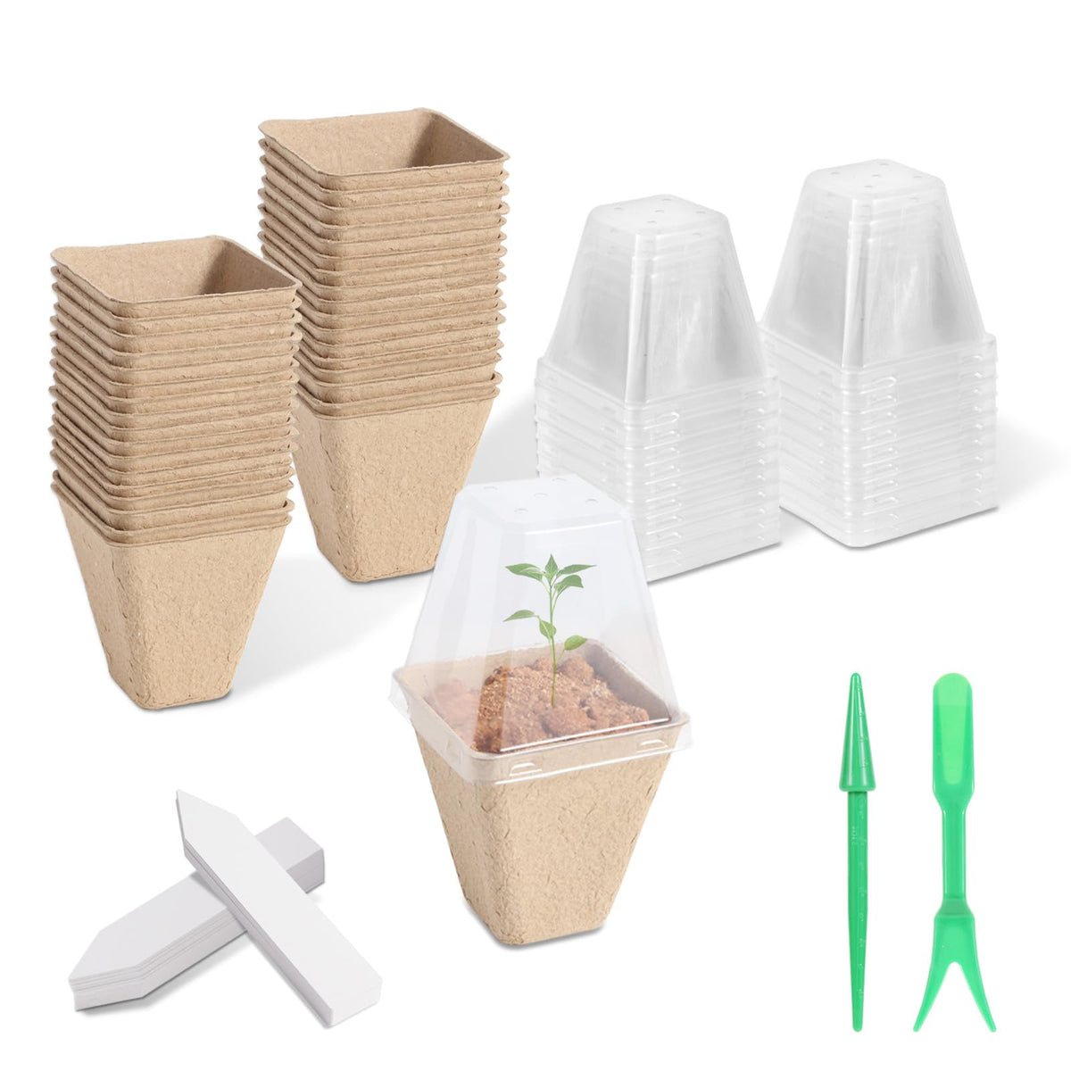 KOAMLY 36 Pcs 3in square peat pots for seed starting and transplanting.