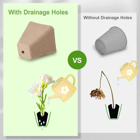 KOAMLY biodegradable peat pot highlights soil enrichment as it biodegrades.