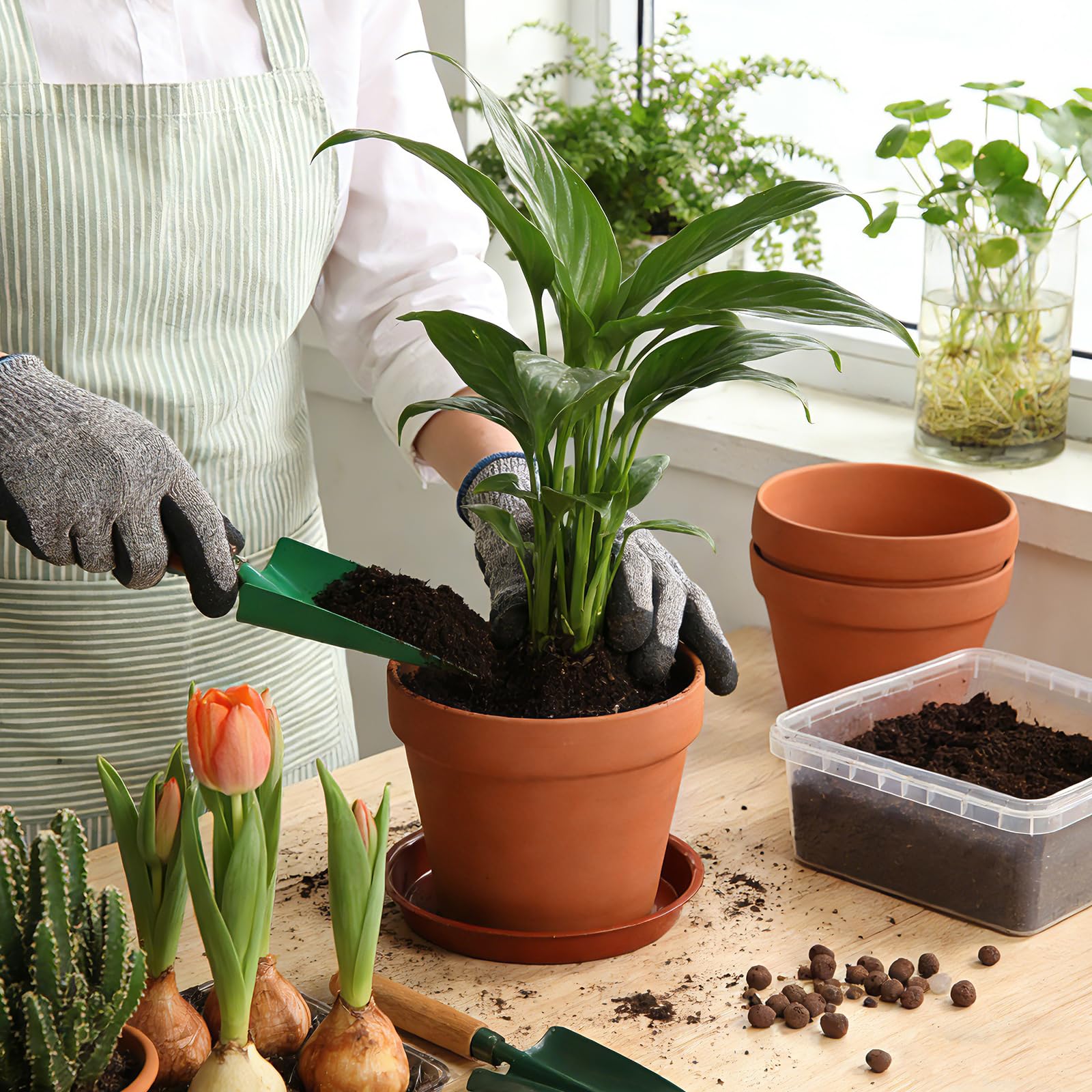 KOAMLY mini pots perfect for DIY party favors and decor
