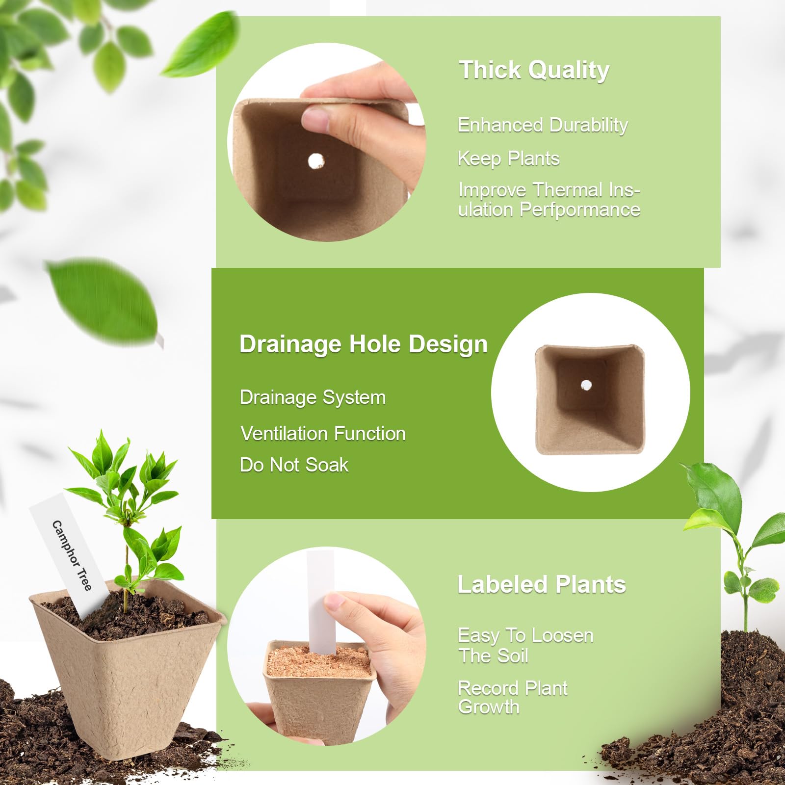 KOAMLY plant tags included for variety labeling.