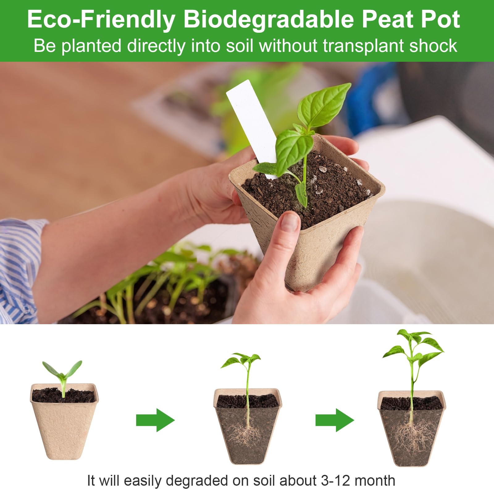 KOAMLY pot with drainage holes promotes plant respiration and easy transplant