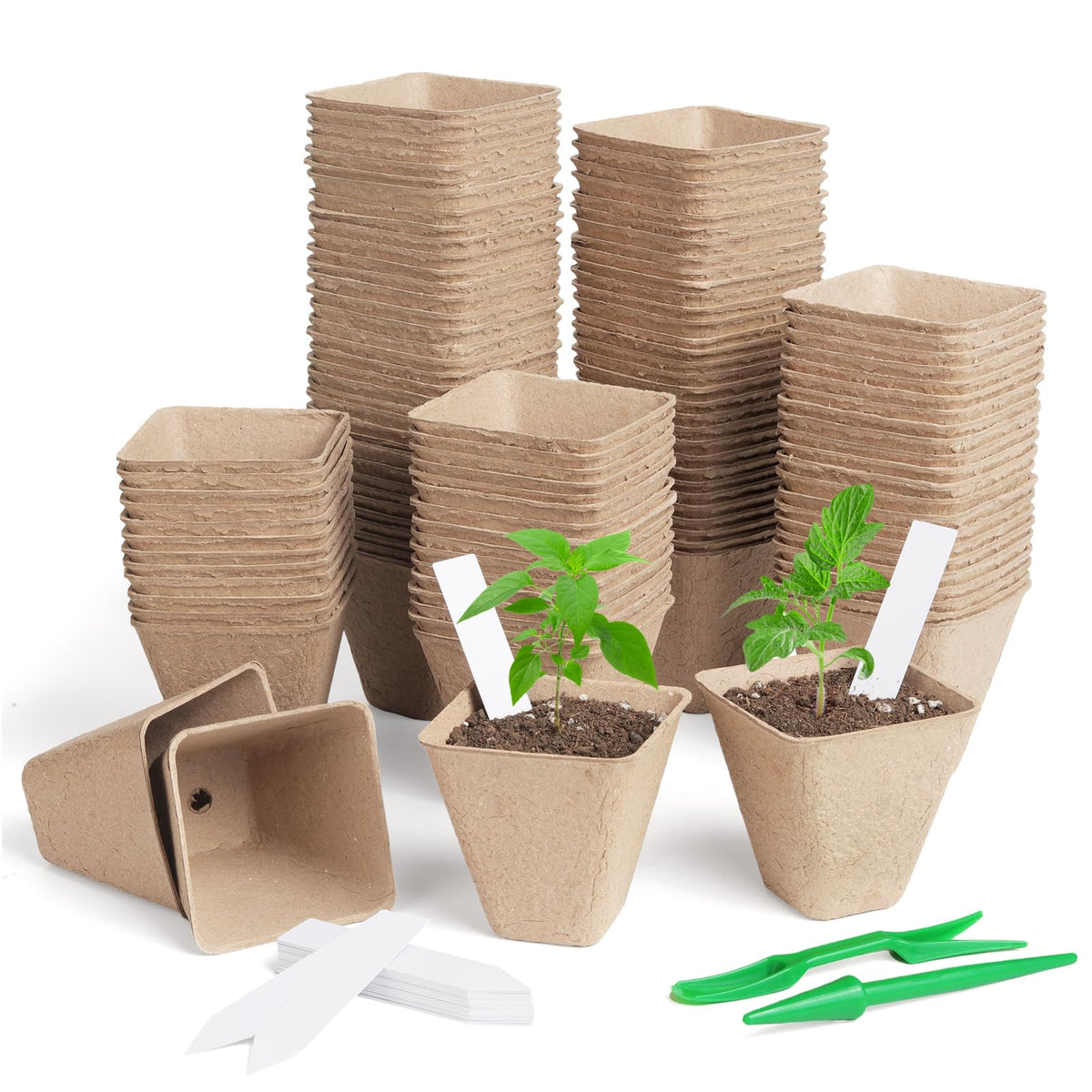 KOAMLY square peat pot 150-pack for seed starting and transplant readiness
