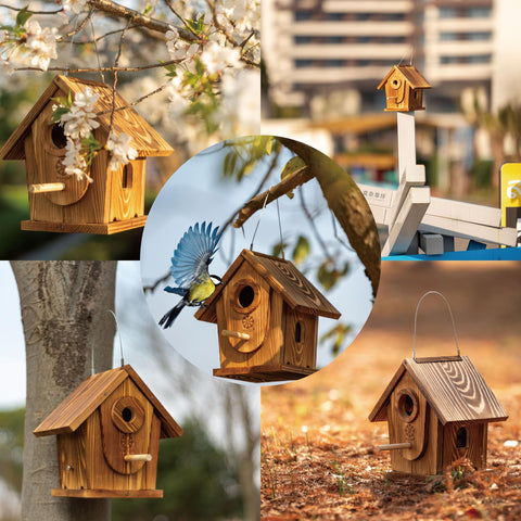 Koangle bird house carbonized cedar close-up, showcasing durable finish and natural texture.