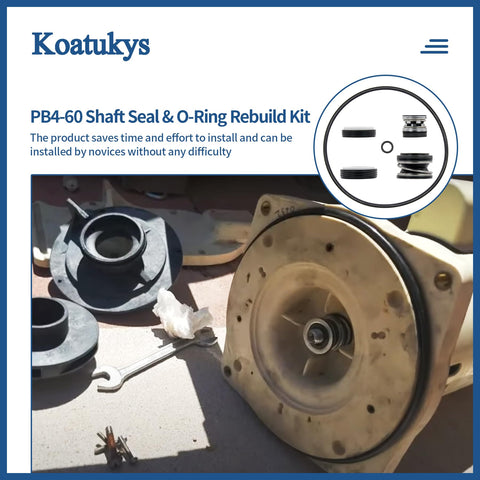 Koatukys PB4-60 pump shaft seal PS201 safeguards filtration and steady flow.
