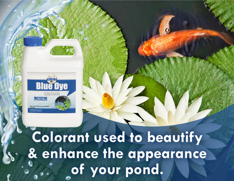 Koi Worx blue dye bottle pour demonstrates dosing for pond tinting.