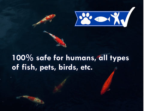 Koi Worx Blue Dye indicates koi-safe water for aquatic life.