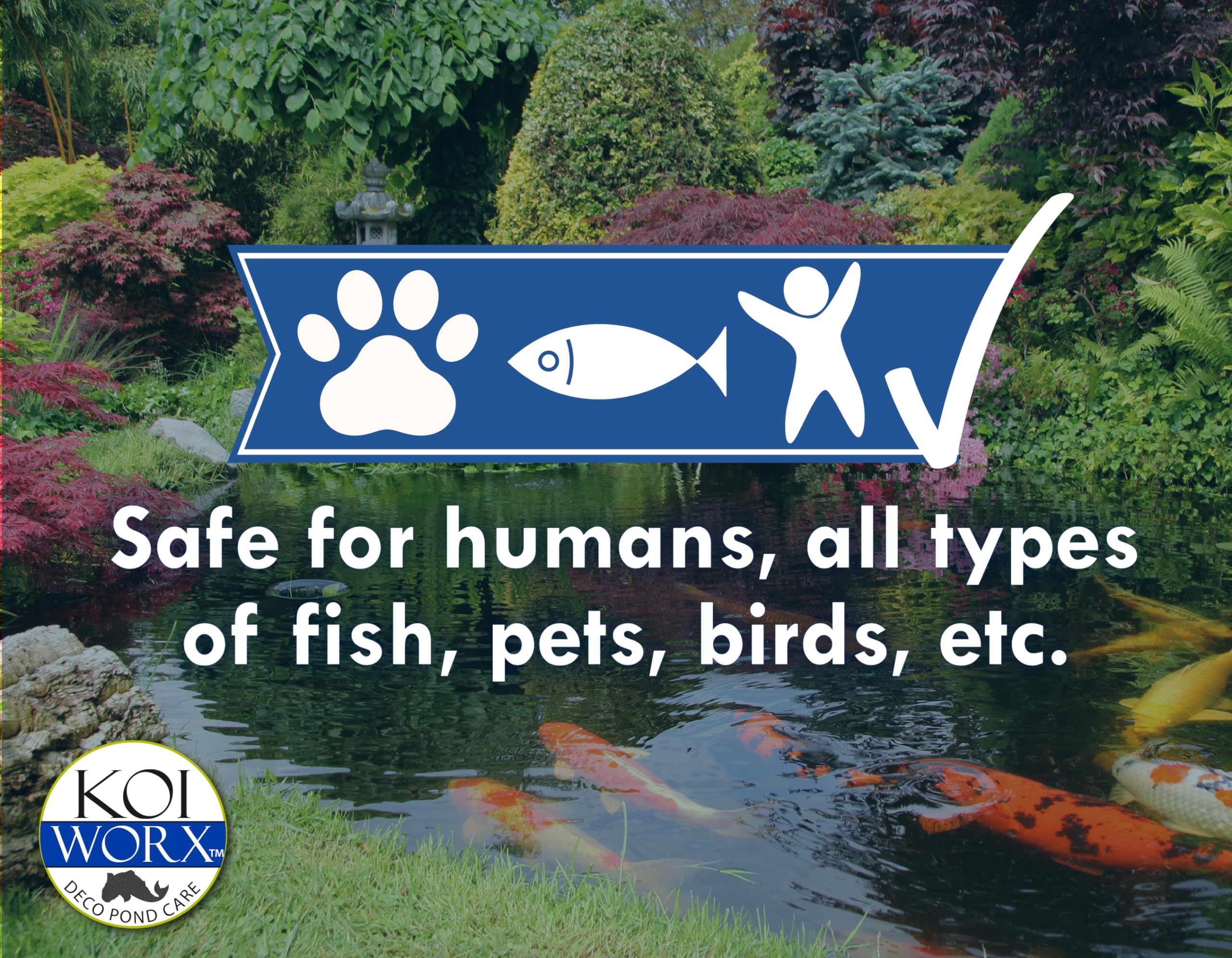 Koi Worx blue dye colors pond water with a blue tint.