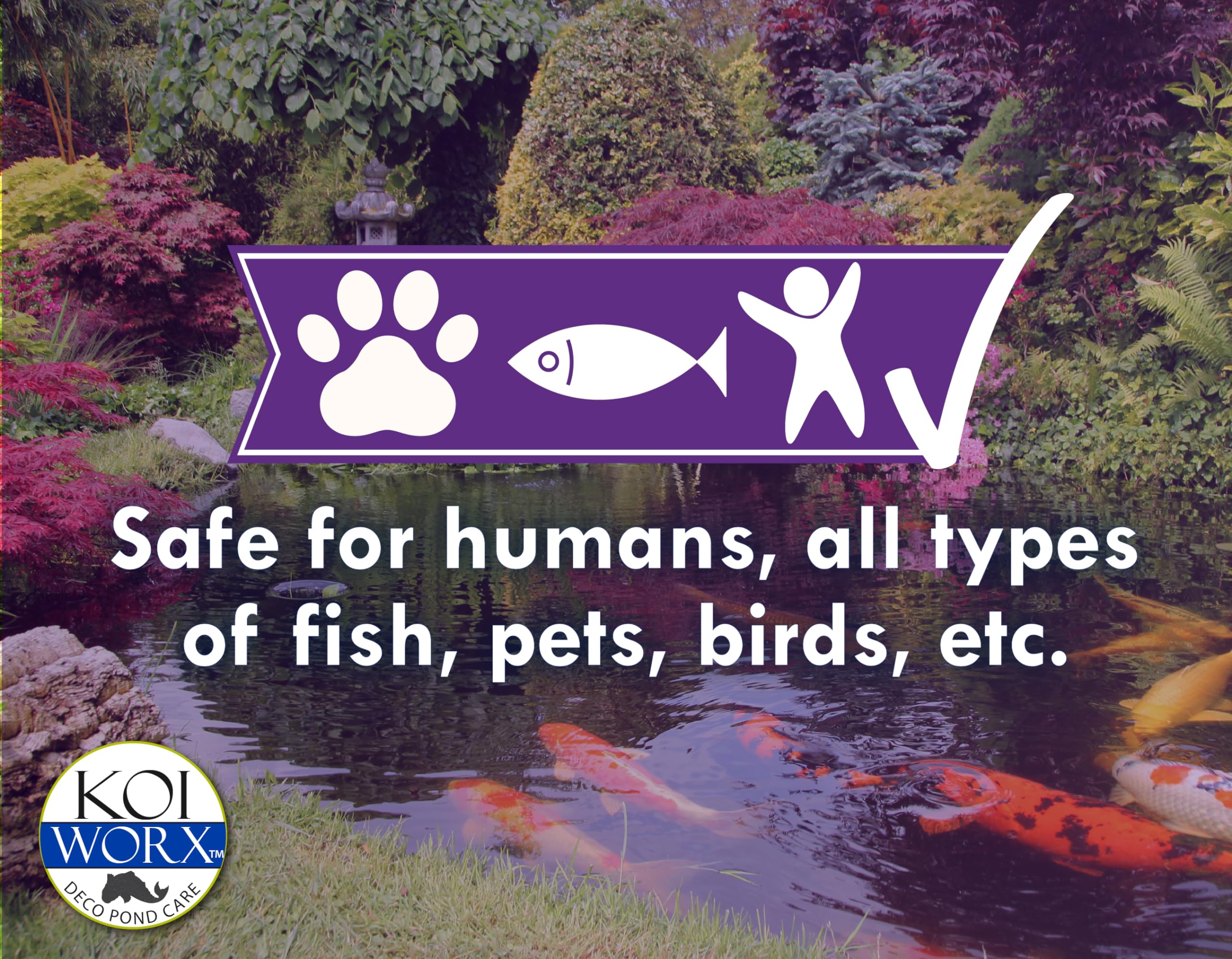 Koi Worx Defoamer is safe for birds and plants in backyard ponds.