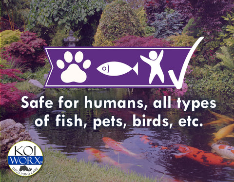 Koi Worx Defoamer is safe for birds and plants in backyard ponds.