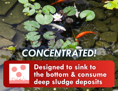 Dissolving tablets from Koi Worx Muck Reducer support easy pond maintenance.
