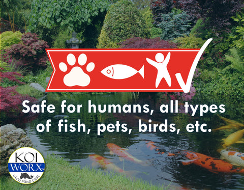 Koi Worx Muck Reducer reduces pond odors in garden ponds.