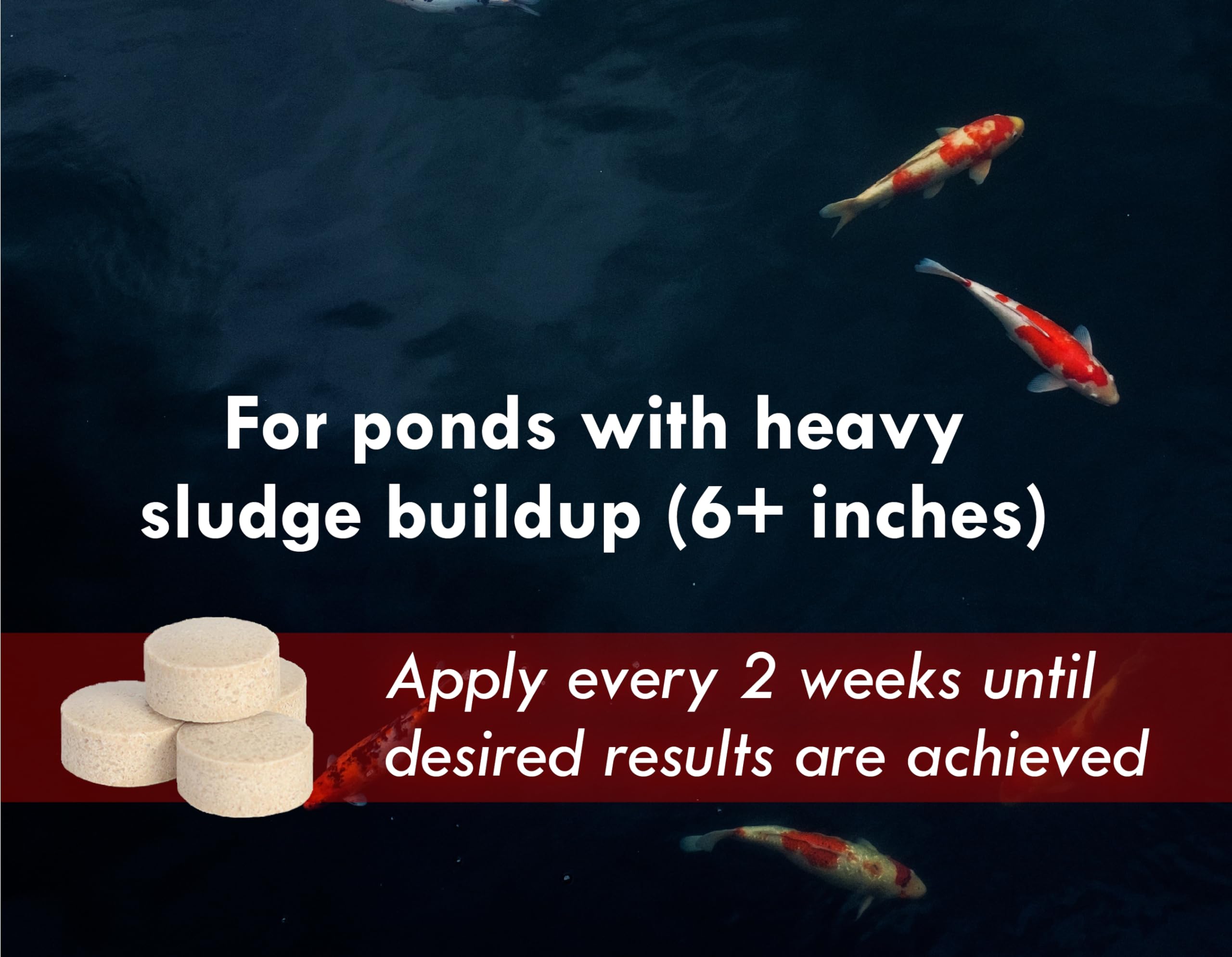KoiWorx Muck Reducer improves water clarity by limiting debris.