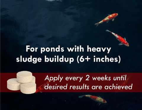 KoiWorx Muck Reducer improves water clarity by limiting debris.