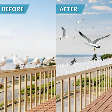 KOKMEYA adjustable-height spikes deter perching without harm.