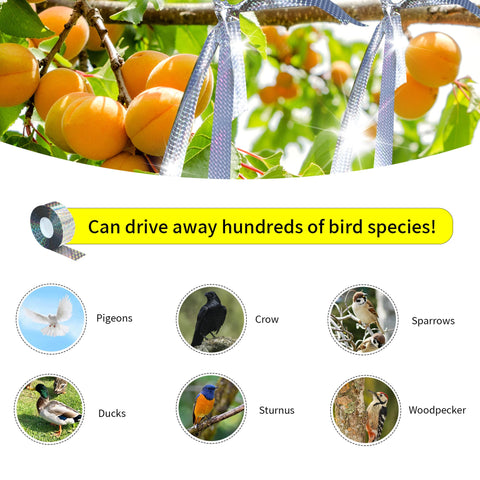KOKMEYA bird tape installed on branches helps protect fruit trees