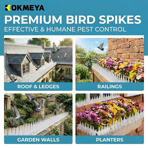KOKMEYA Bird Spikes visible on surfaces deliver effective deterrence in action.