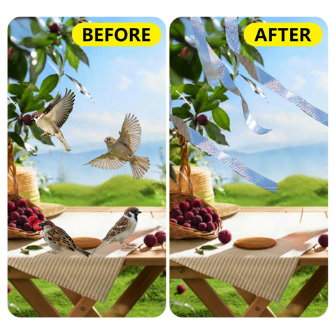 KOKMEYA DIY bird deterrent being applied around trees and structures