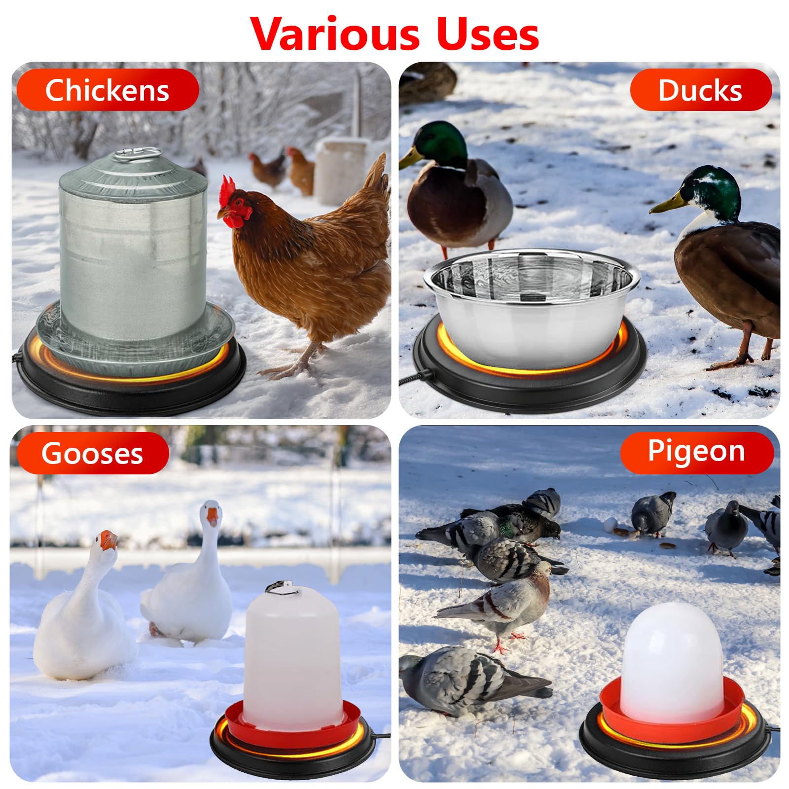 Kokopro weather-ready design supports chickens’ daily water intake in cold seasons.