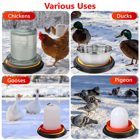 Kokopro weather-ready design supports chickens’ daily water intake in cold seasons.