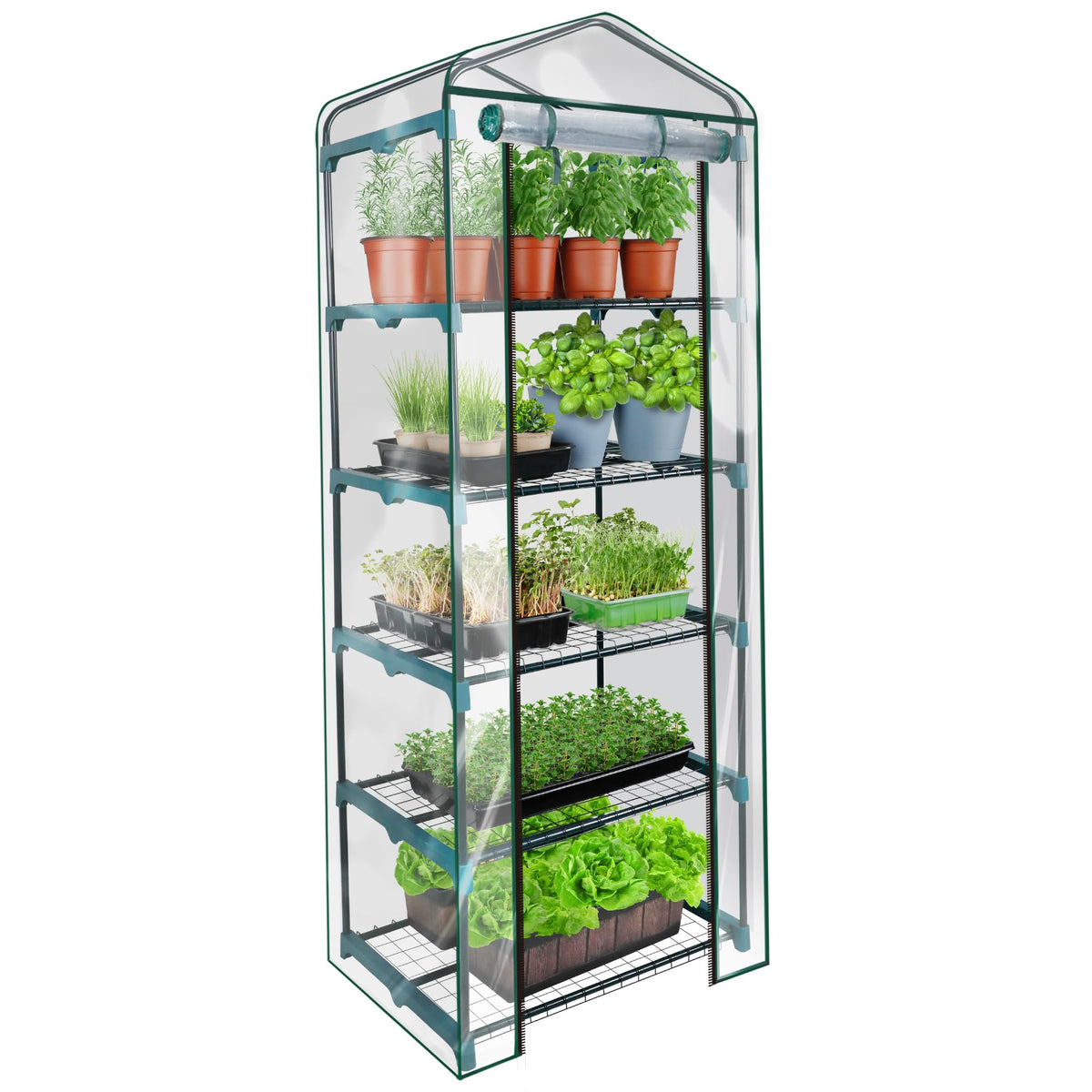 KOL 5-Tier Mini Greenhouse with clear PVC cover over a steel frame for light-loving seedlings
