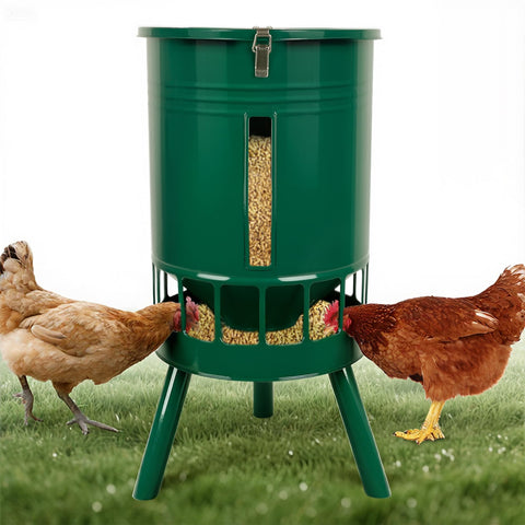KOL 50lb chicken feeder with 16 ports for efficient feeding in coops