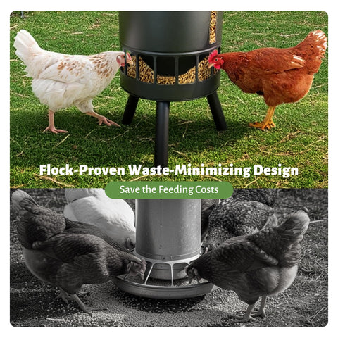 KOL 50lb metal chicken feeder showing 16 ports