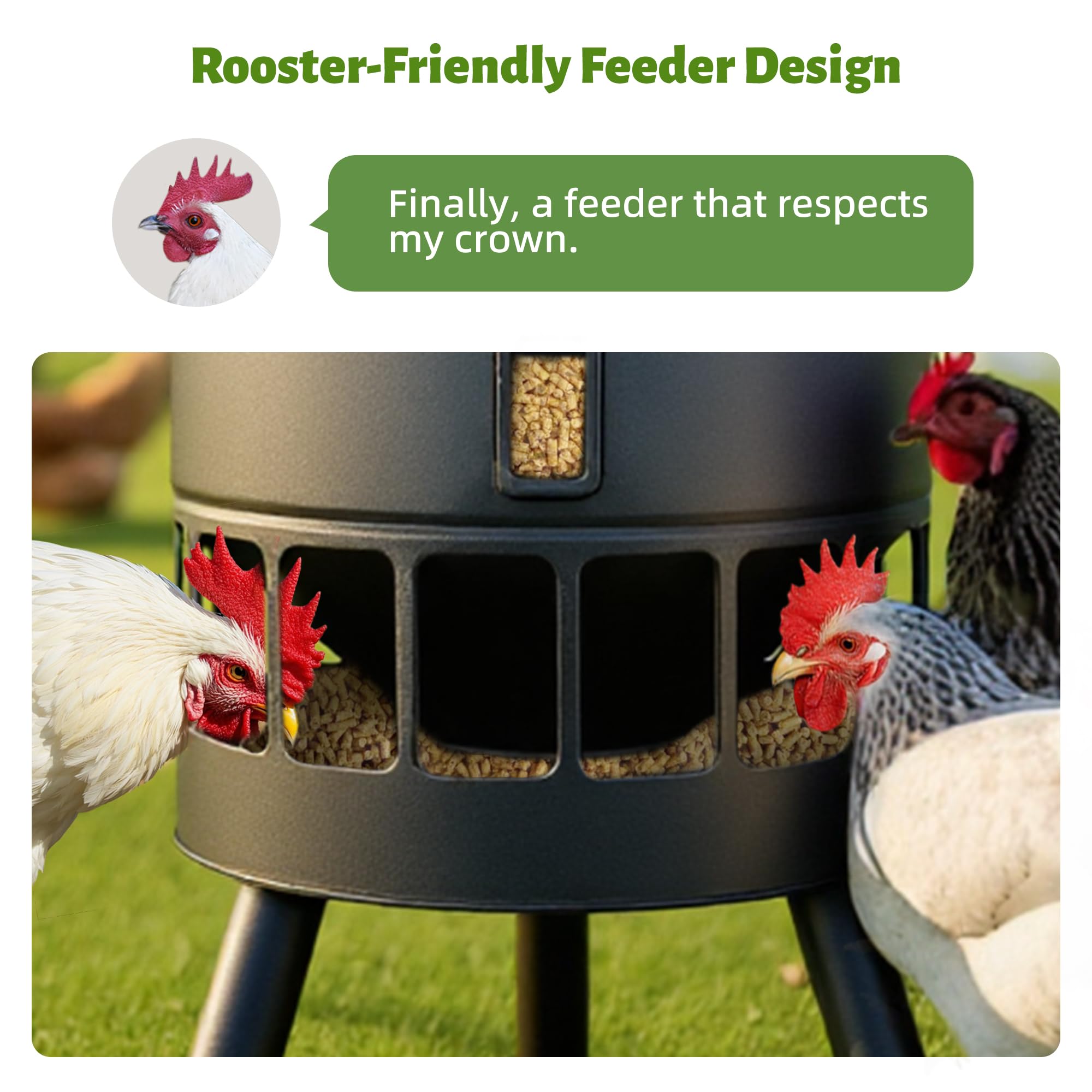 KOL no-waste no-clog feeding system