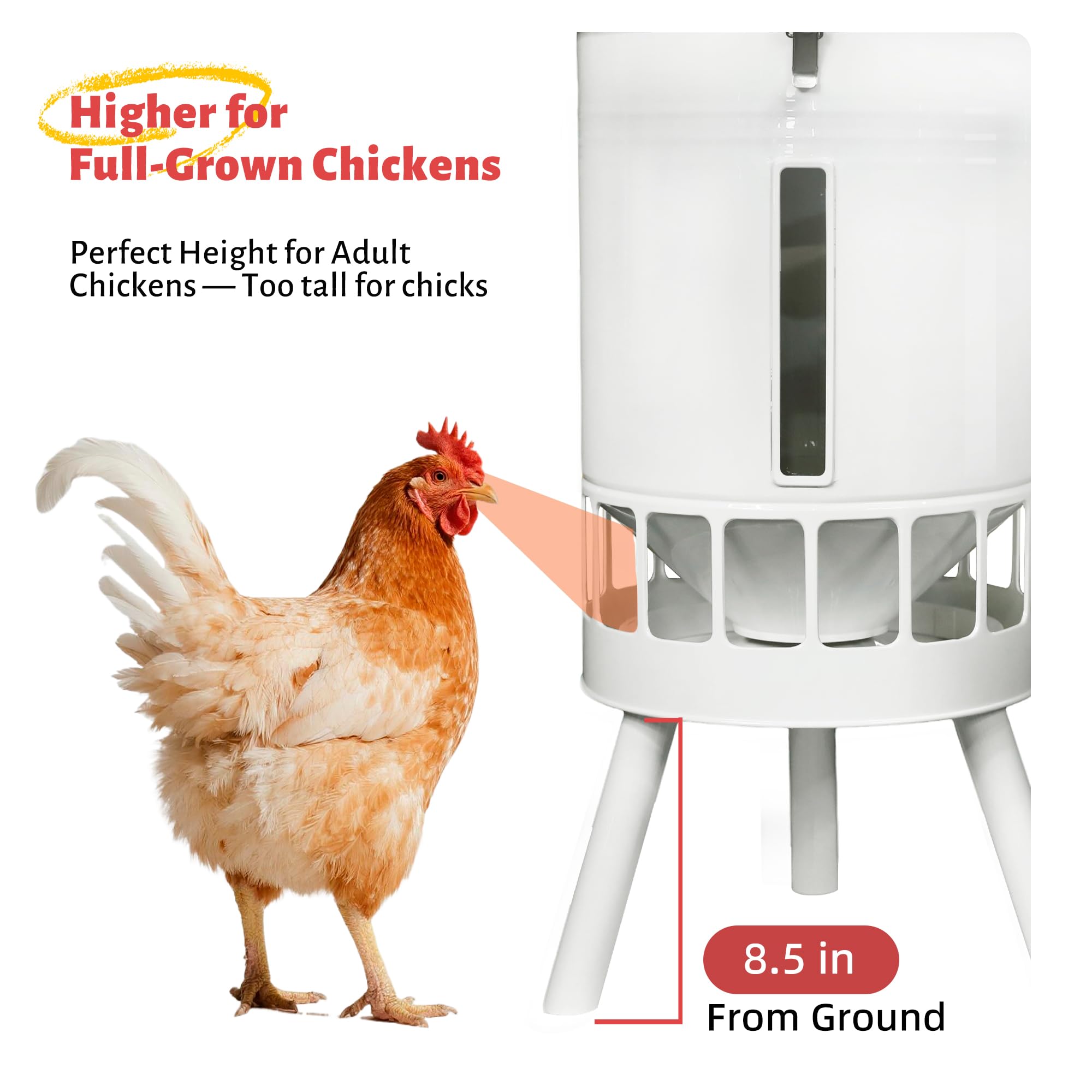 KOL 50LB feeder shown with rust-proof coating for durability