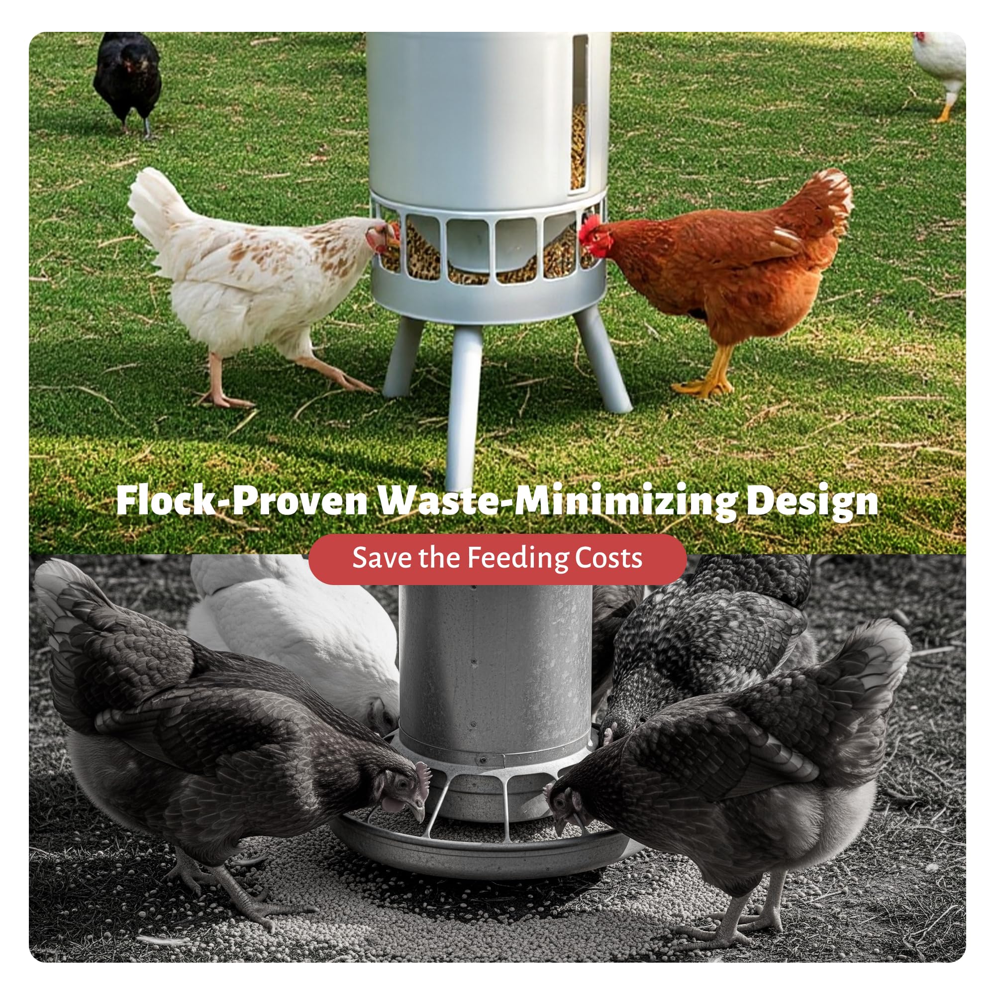 KOL 50LB feeder weatherproof roof in outdoor coop setting