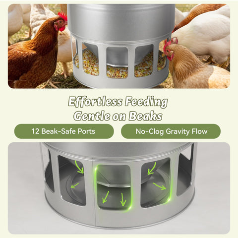 KOL adjustable poultry feeder hanging at different heights