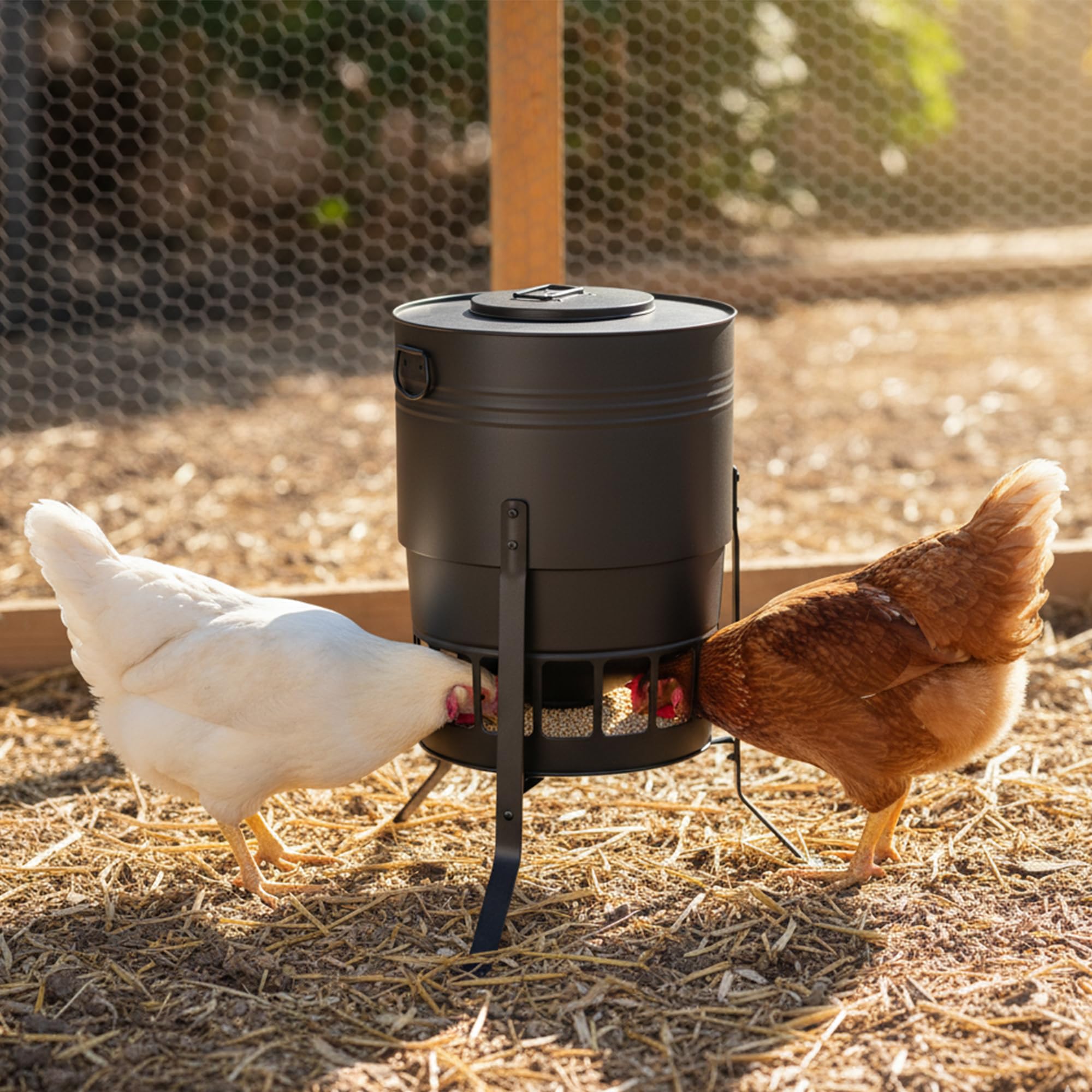 KOL low-profile ports reduce leg and beak injuries during feeding.