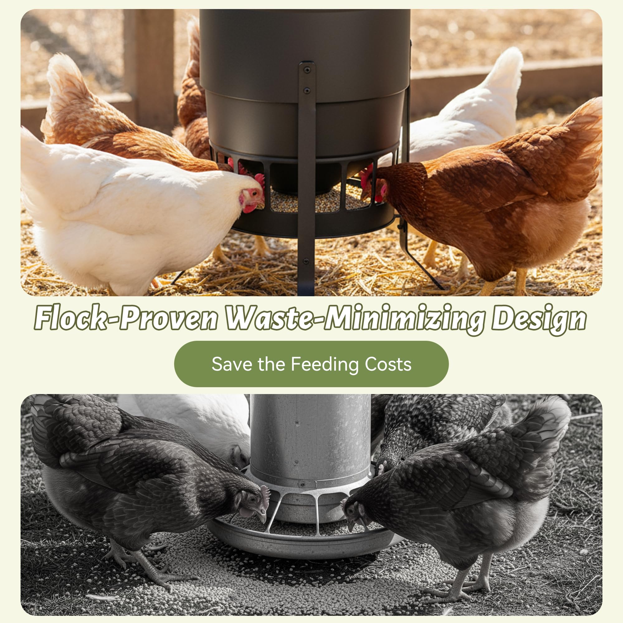 KOL smooth-edged ports offer safe low-height feeding for growing chicks.