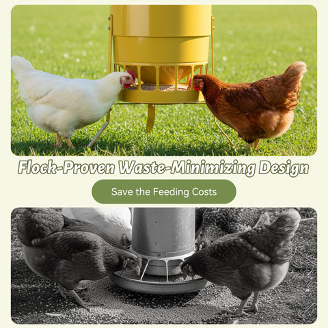 KOL feeder features 16 smooth-edged ports to protect chicks during feeding.