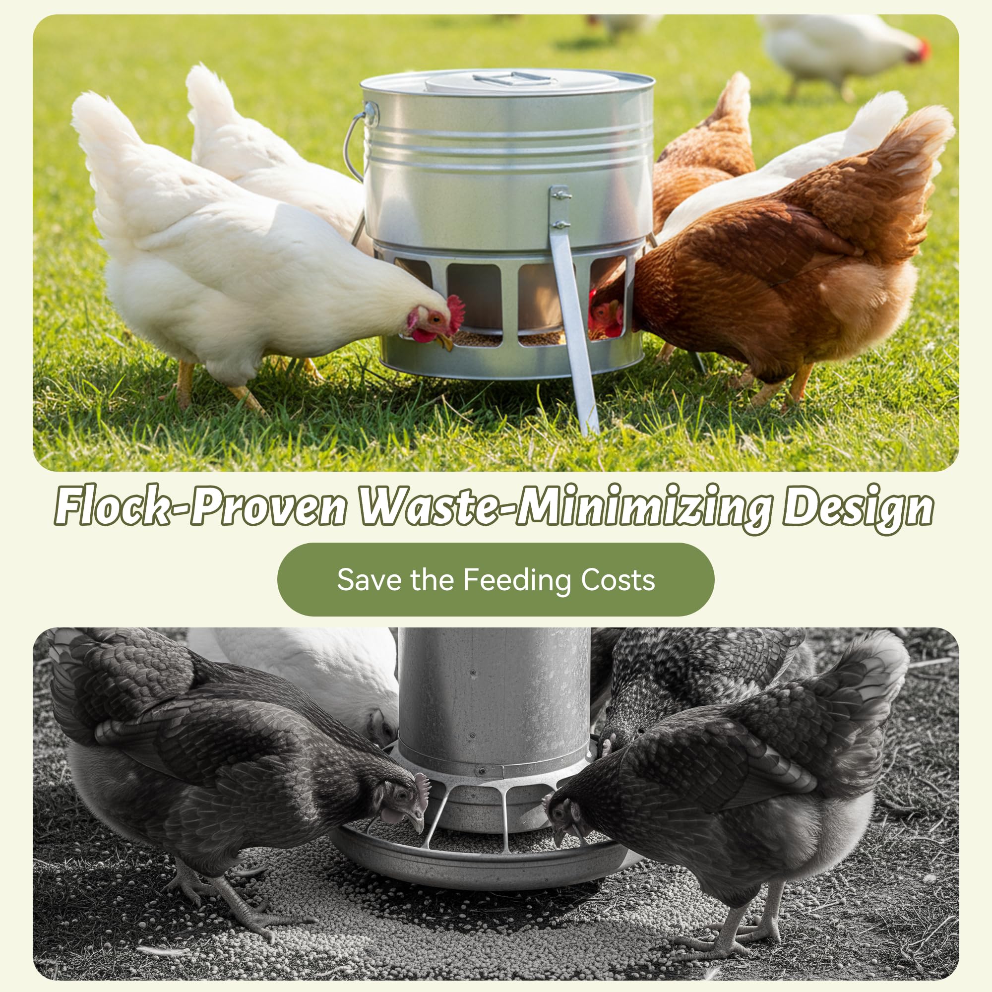 KOL feeder with smooth-edged ports protects chicks during feeding.