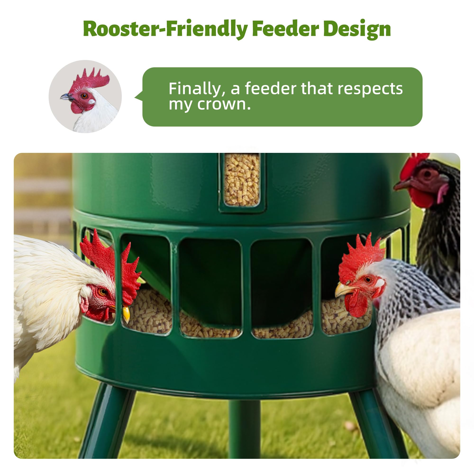 Green KOL coop feeder ready for outdoor installation